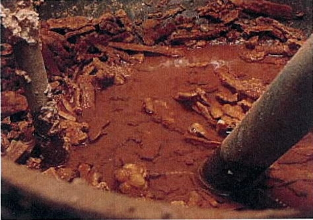 hygiene